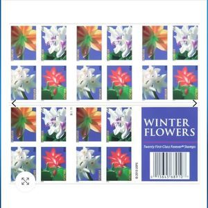 100 Winter Flowers 2014 USPS Forever Stamps Invitations Reception Save The‎ Date